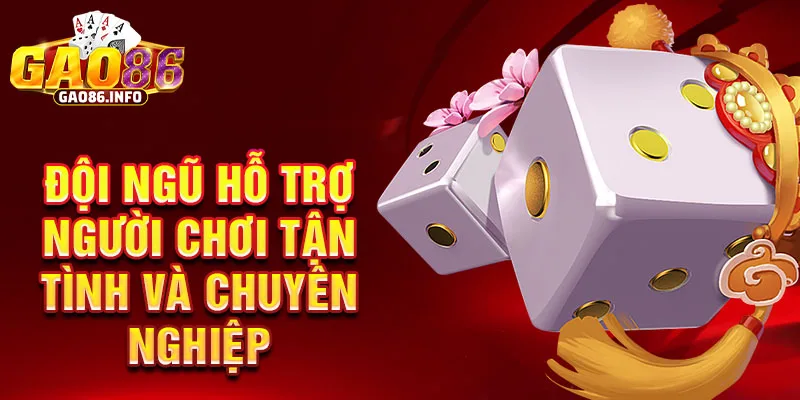 Đội ngũ hỗ trợ người chơi tận tình và chuyên nghiệp