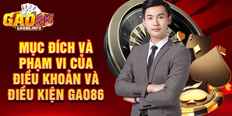 Mục đích và phạm vi của điều khoản và điều kiện Gao86